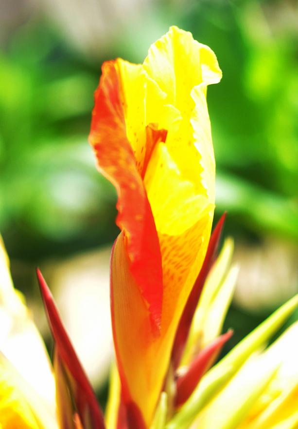 DSC_0053.JPG