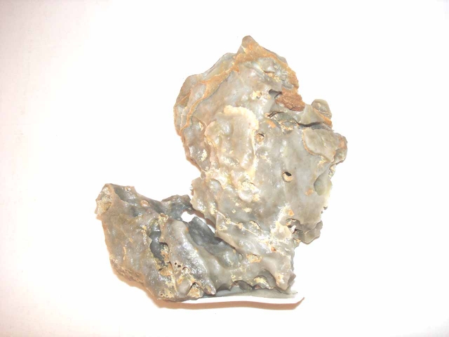 DSC06988.JPG