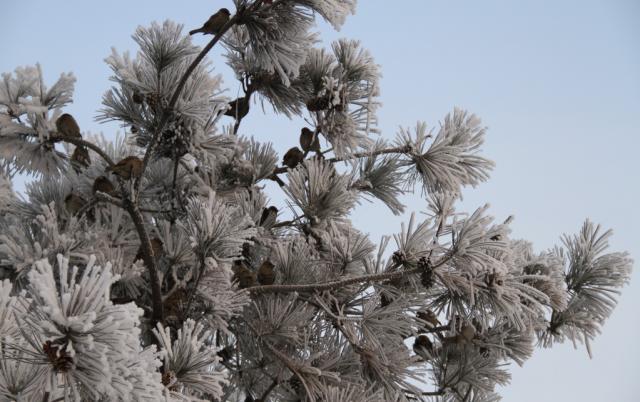 2011��ڡ 107.jpg