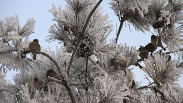 2011��ڡ 110.jpg