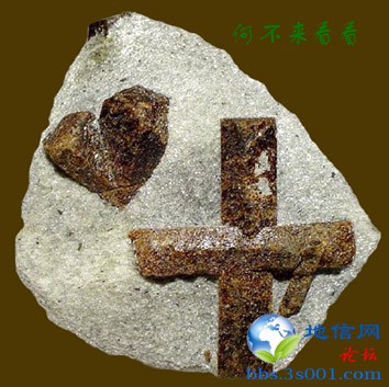 ʮʯ(Staurolite).jpg