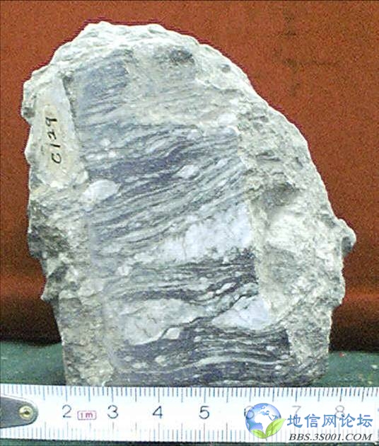 ӢFelsic mylonite.jpg