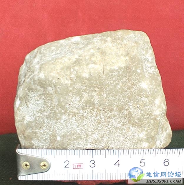 ʴʯӢɰ Dolomitic coarse quartzarenite.jpg