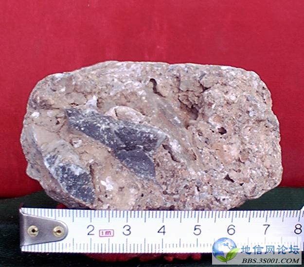 ѨCave breccia(204).jpg