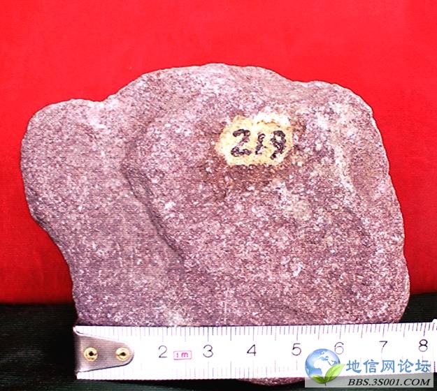 ʯӢɰ Ferruginous medium quartzarenite.jpg