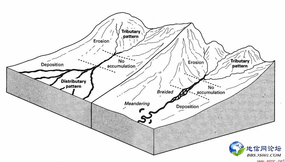 Tributary versus distributary river patterns.jpg