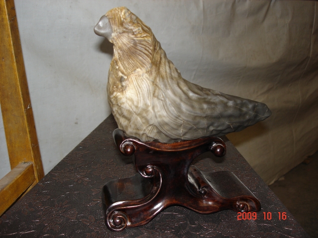 DSC05546.JPG