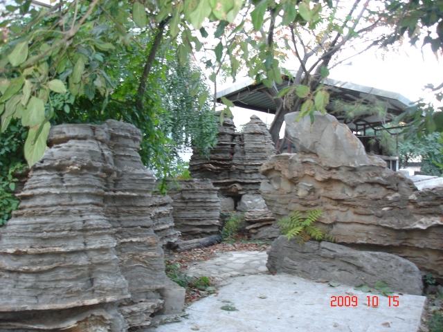 DSC05487.JPG