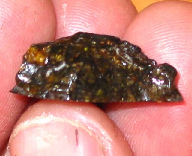 4300mgPallasite.jpg